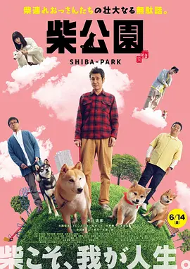 91香蕉直播视频深夜直播