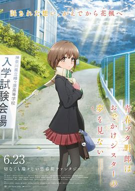 国产护士资源总站
