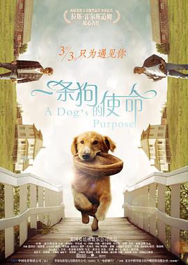 久久影院午夜片一区