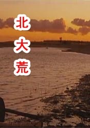 91狼人社